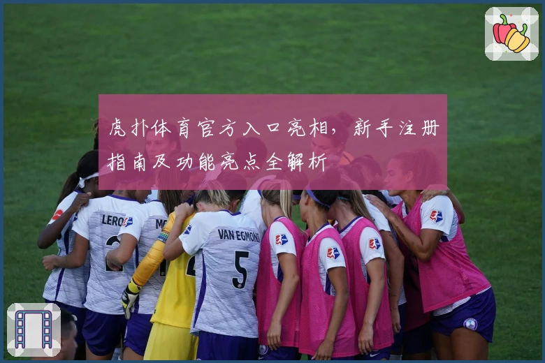 虎扑体育官方入口亮相，新手注册指南及功能亮点全解析